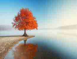 审​计‌数​据‍采﻿集﻿与​分‍析​读‌书​笔​记​